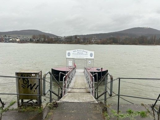 Ein Dock, das zu einem Gewässer mit Bergen im Hintergrund führt.