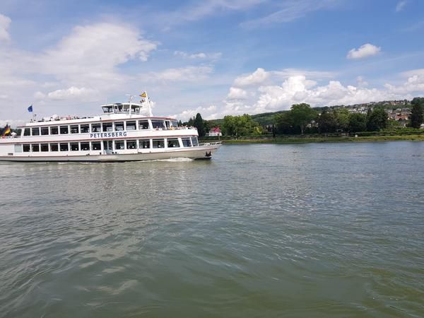 MS Petersberg bei Tag