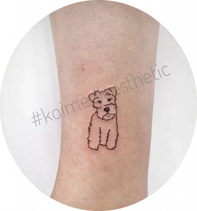 Un pequeño tatuaje de un schnauzer en la pierna de una persona.