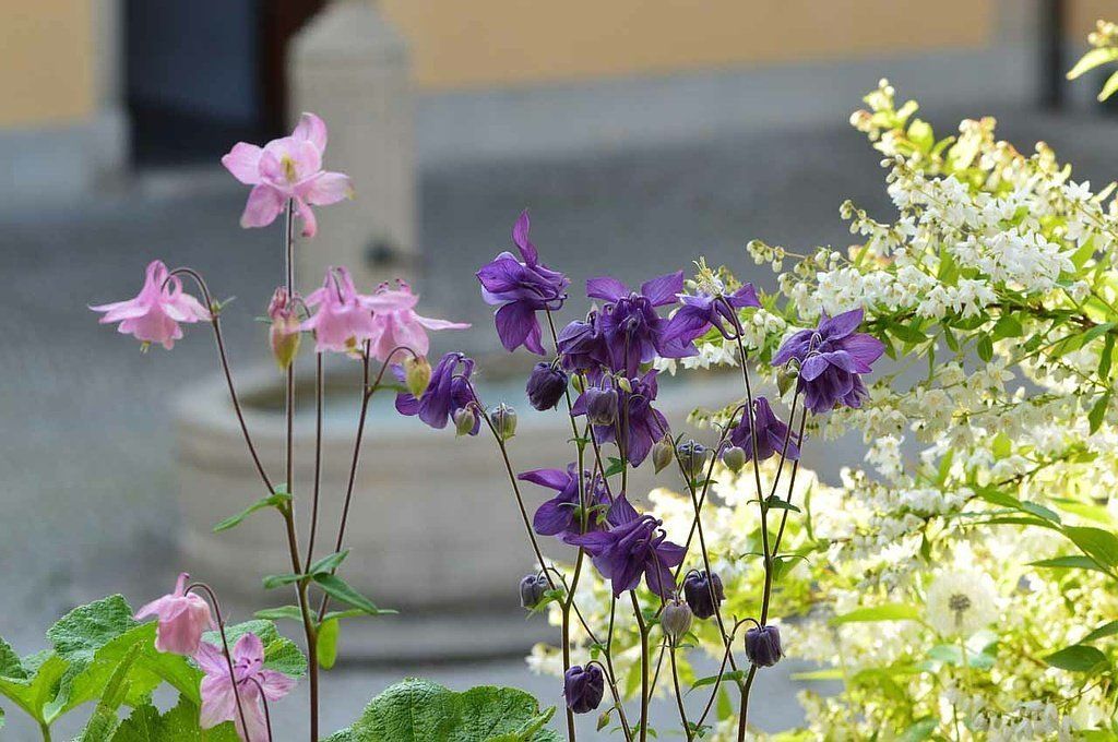 Zentrum für Kieferorthopädie – Praxisrundgang