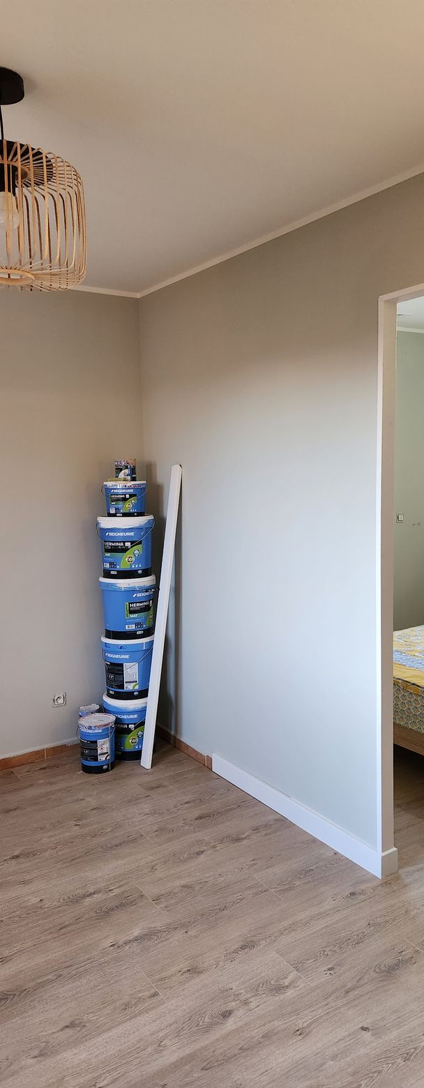 Divers pots de peinture et produits