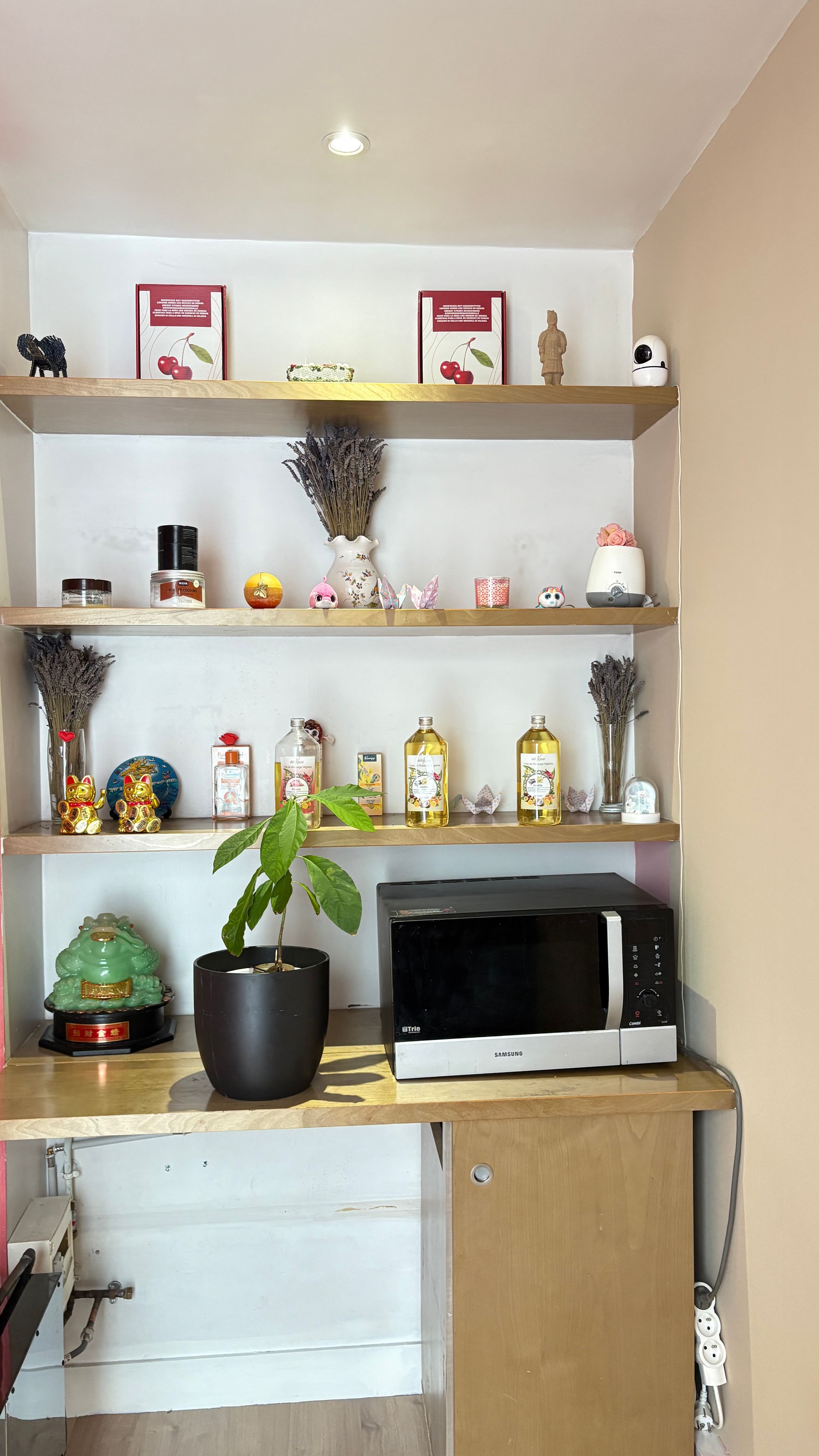 Étagères de cuisine en bois avec bocaux, bouteilles, micro-ondes et plante en pot.