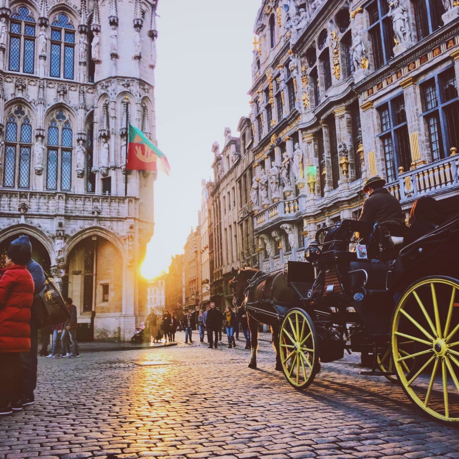Grande Place horse carriage, Brussels