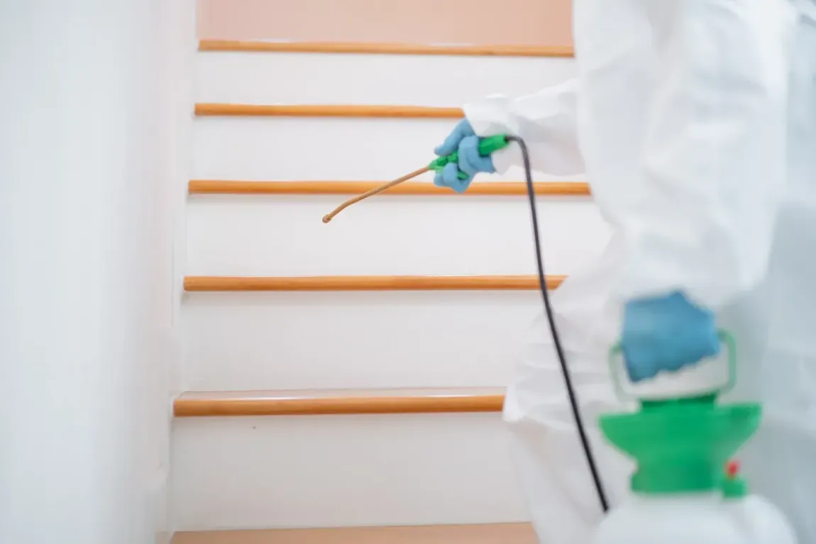 Una persona con un traje de protección está rociando una escalera con un pulverizador.