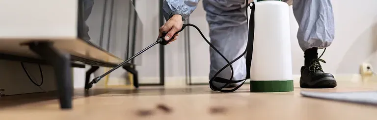 Un hombre está rociando insecticida sobre un piso de madera.