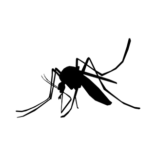 Una silueta en blanco y negro de un mosquito sobre un fondo blanco.