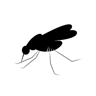 Una silueta negra de un mosquito sobre un fondo blanco.