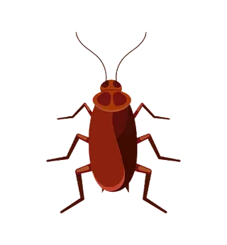 Se muestra una cucaracha en estilo de dibujos animados sobre un fondo blanco.
