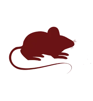 Una silueta de un ratón con una cola larga sobre un fondo blanco.