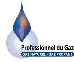 Professionnel du gaz logo