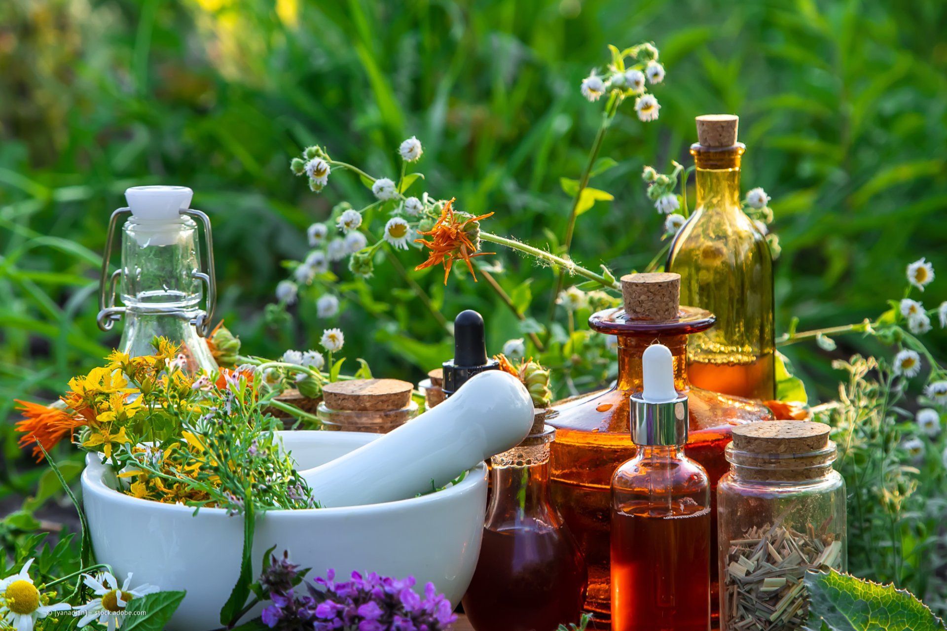 Kurs in Naturheilkunde mit Heilpraktikerin Claudia Gerstendorff