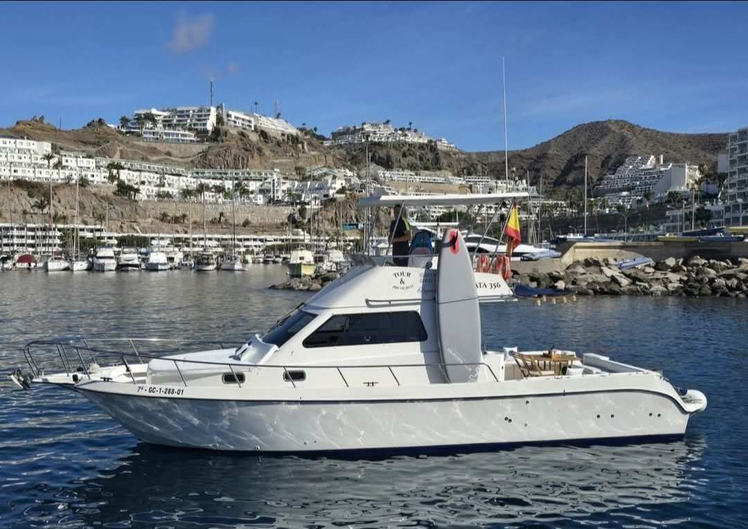 Barco a motor blanco en un puerto, con edificios en la ladera al fondo bajo un cielo azul.