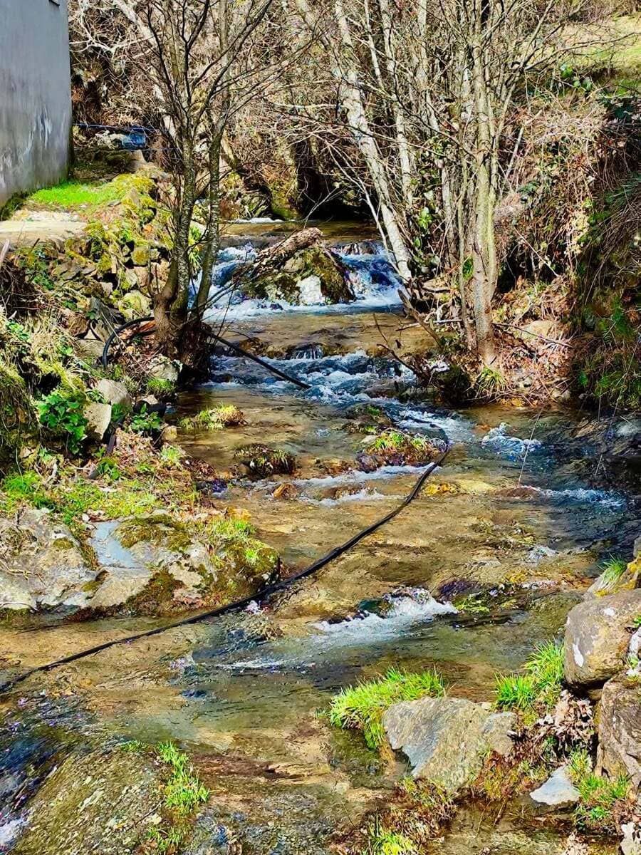 Un pequeño arroyo que fluye a través de un bosque rocoso y arbolado, con orillas cubiertas de musgo y bañado por la luz del sol.