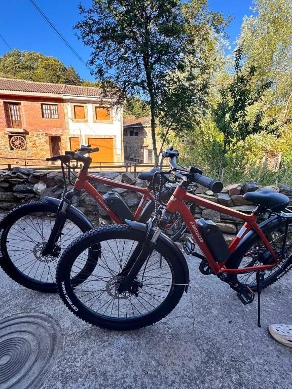 Dos bicicletas de montaña rojas aparcadas en un camino soleado cerca de una casa y unos árboles.