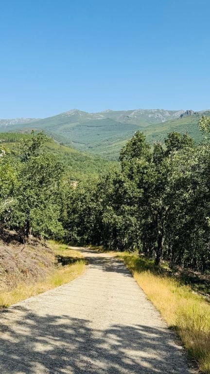 Sendero pavimentado iluminado por el sol entre los árboles hacia verdes montañas bajo un cielo azul