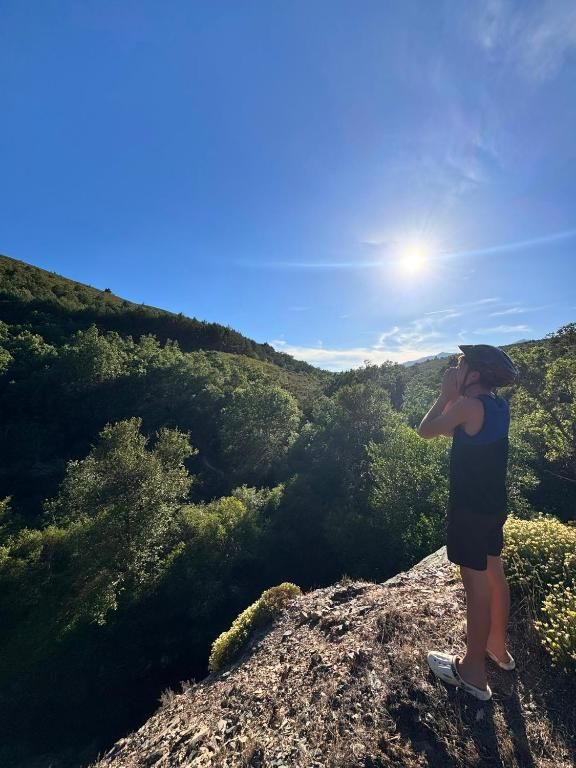 Una persona de pie en un mirador rocoso, contemplando las verdes colinas bajo un cielo azul brillante y el sol.