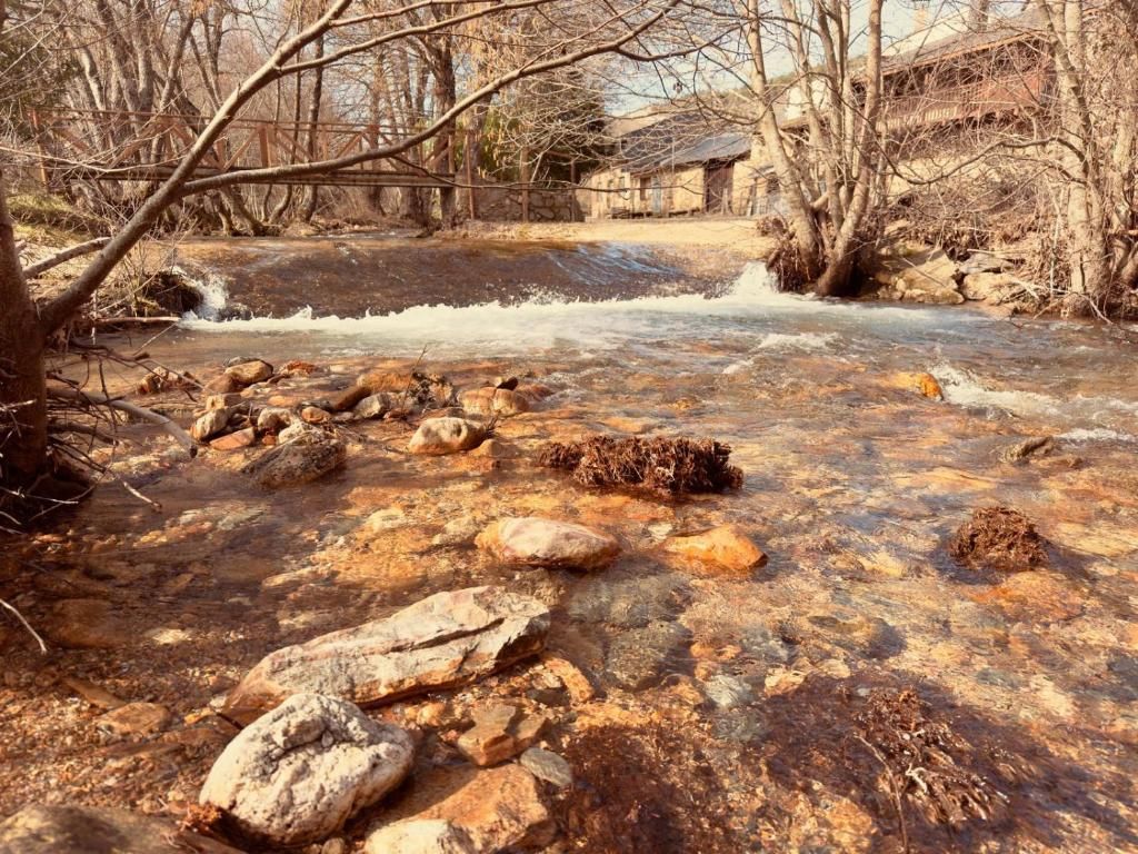 Río rocoso poco profundo con agua corriente y un pequeño puente de piedra en un paisaje boscoso.