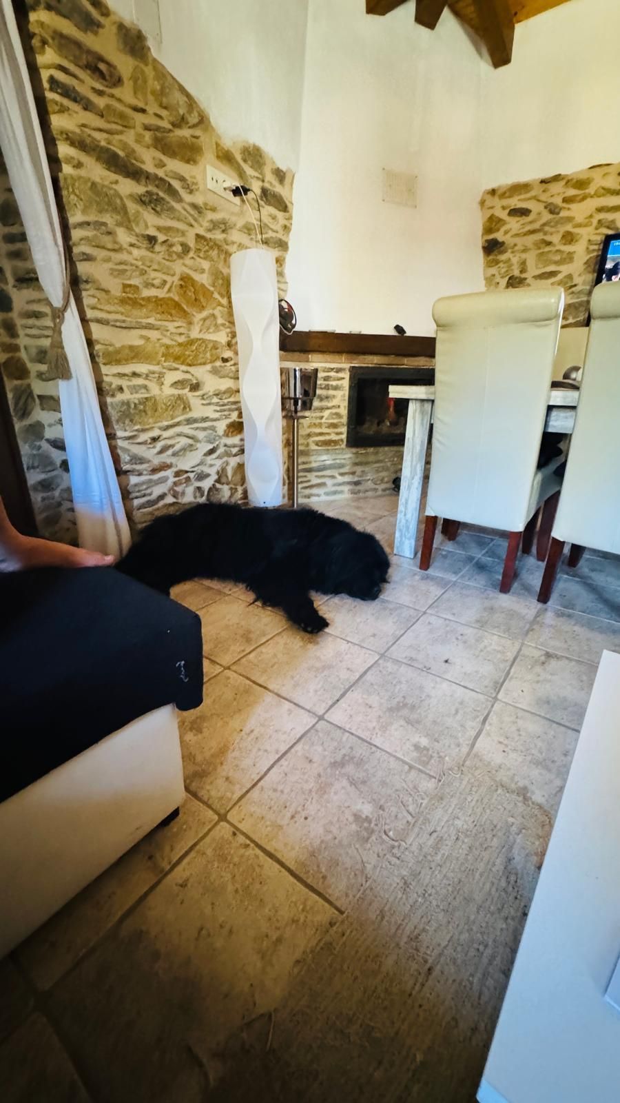 Un perro negro tumbado en un suelo de baldosas en una habitación rústica con paredes de piedra y sillas blancas.