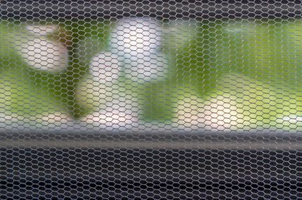adobestock_165734515