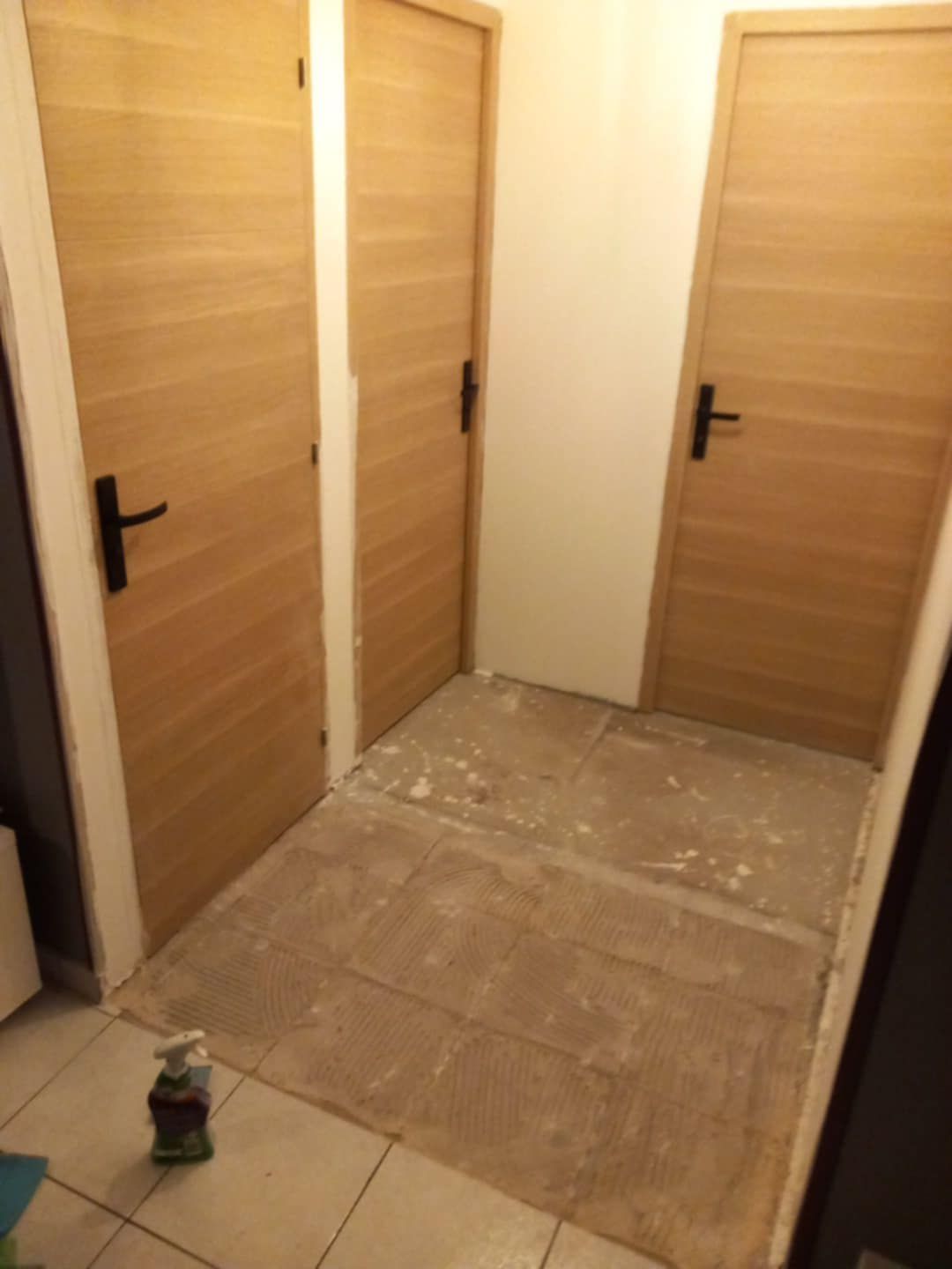 Portes intérieures en bois