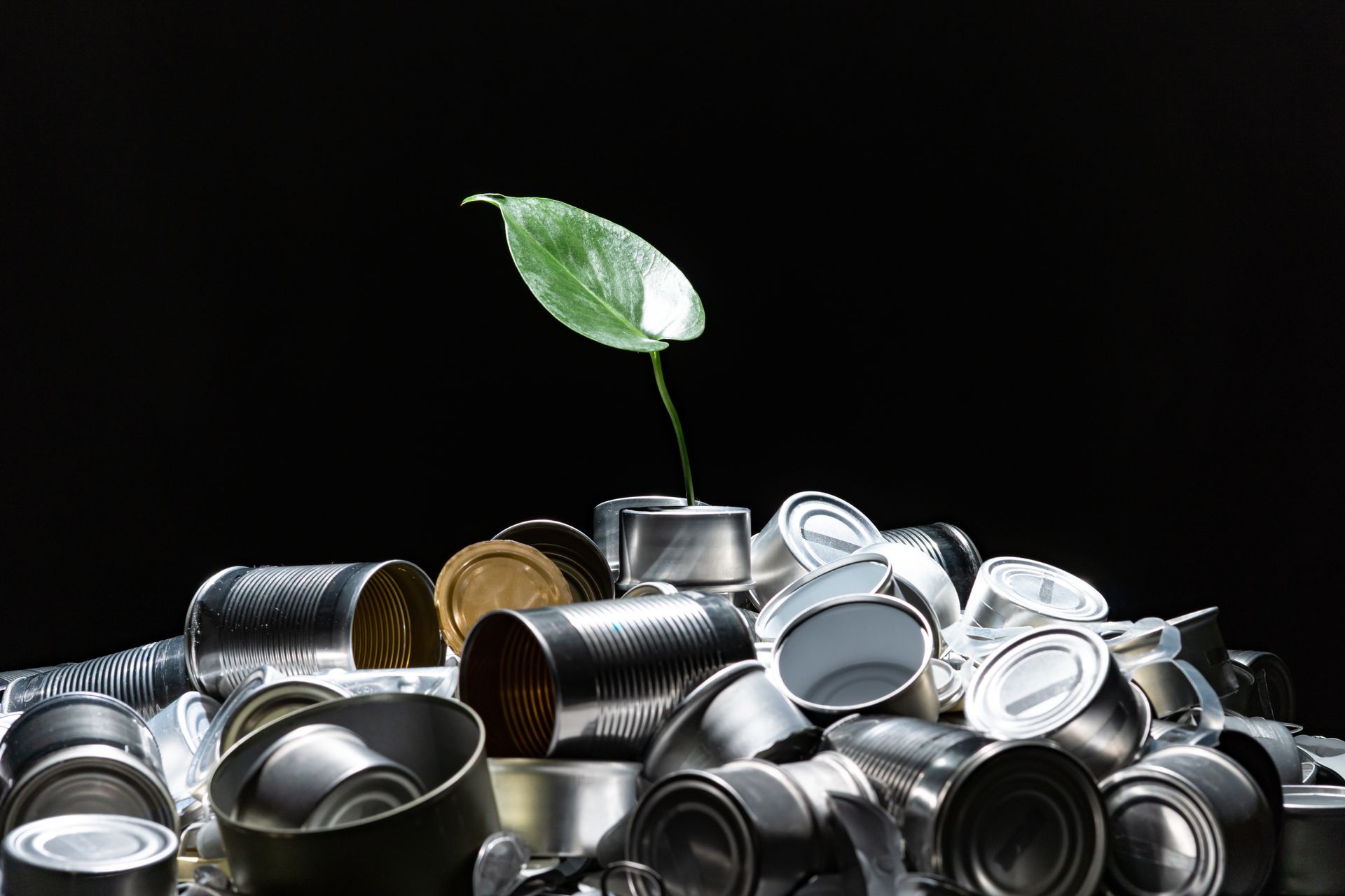 Un tas de boîtes de conserve avec une unique pousse verte qui en sort du centre.
