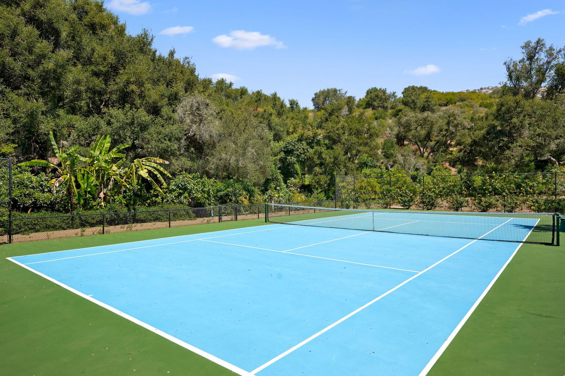 Blue sports court surrounded by green trees under a bright blue sky