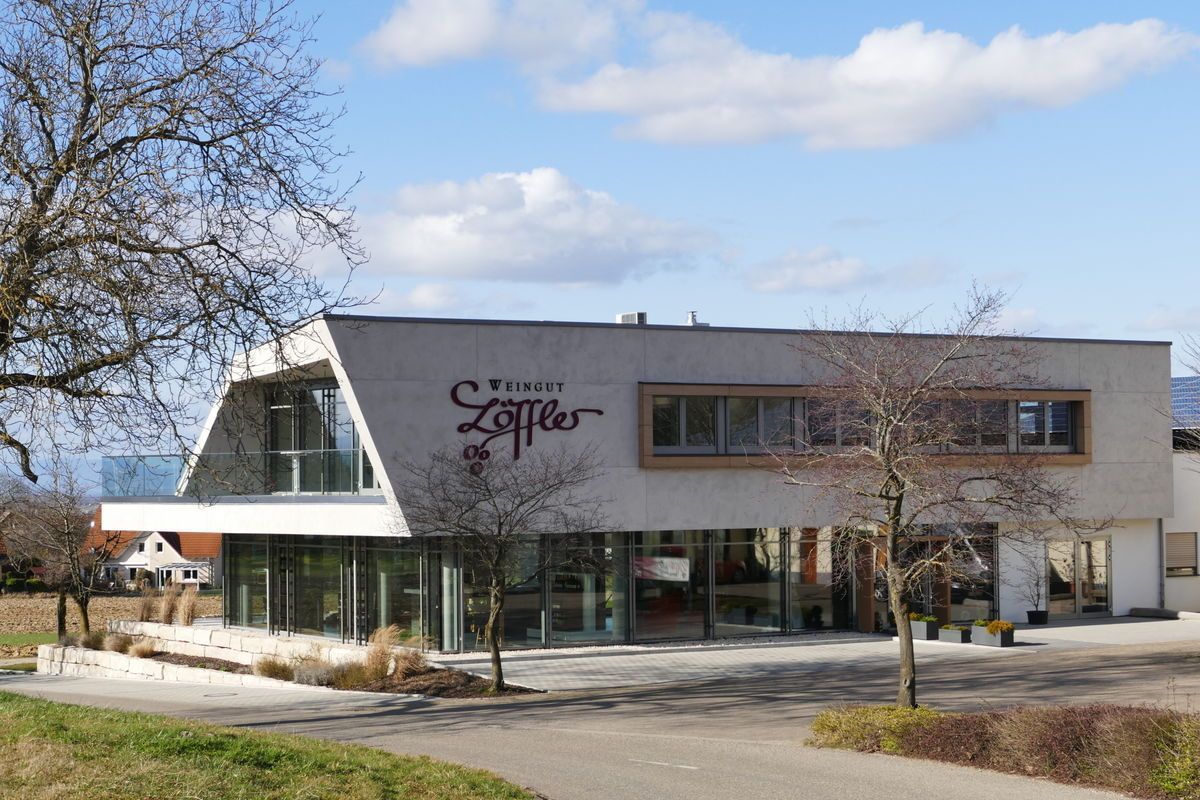 Modernes Gebäude mit schrägem Dach, Glasfenstern und dem Schild „Hotel Zaffer“.