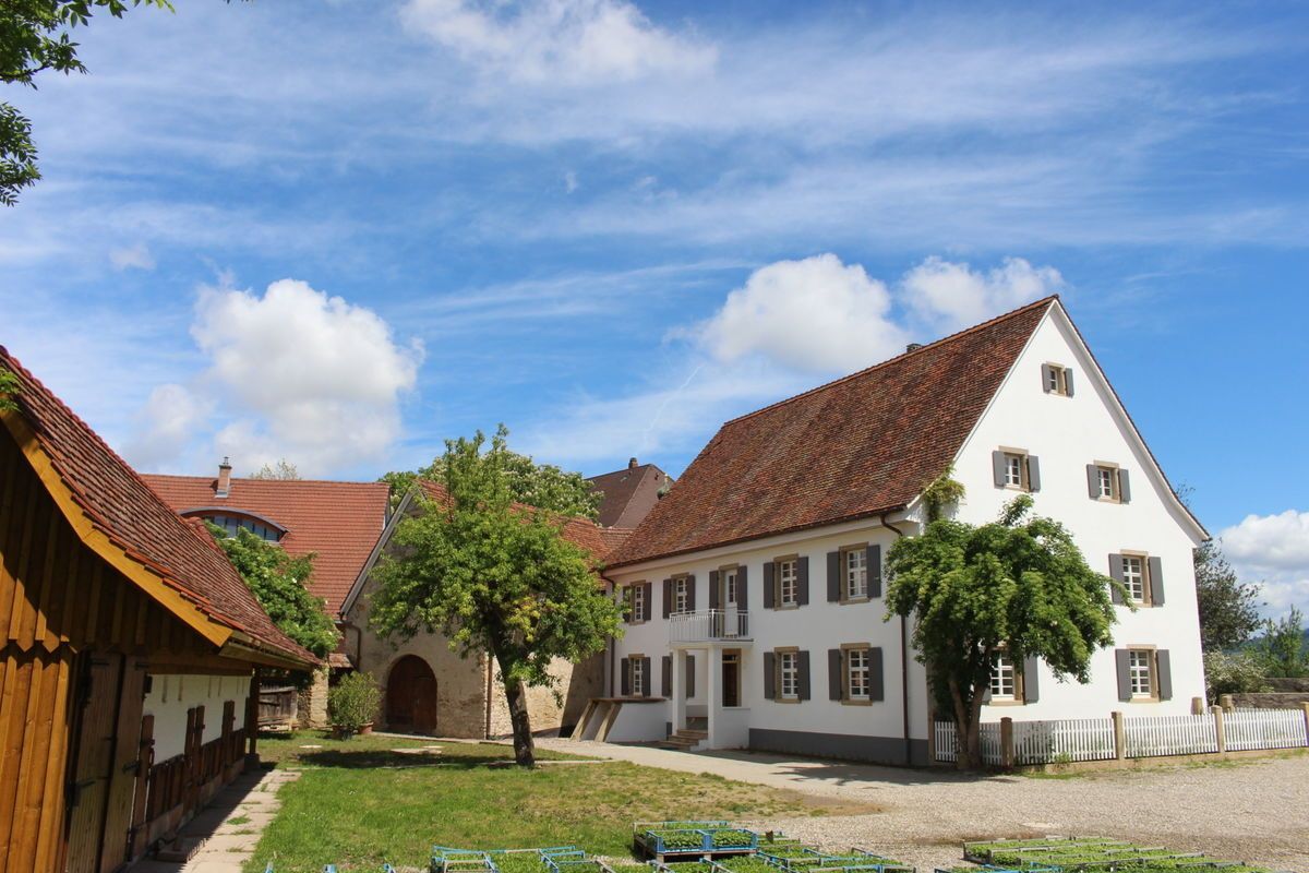 Weißes Bauernhaus mit braunem Dach, Fensterläden und einem grasbewachsenen Hof unter blauem Himmel.