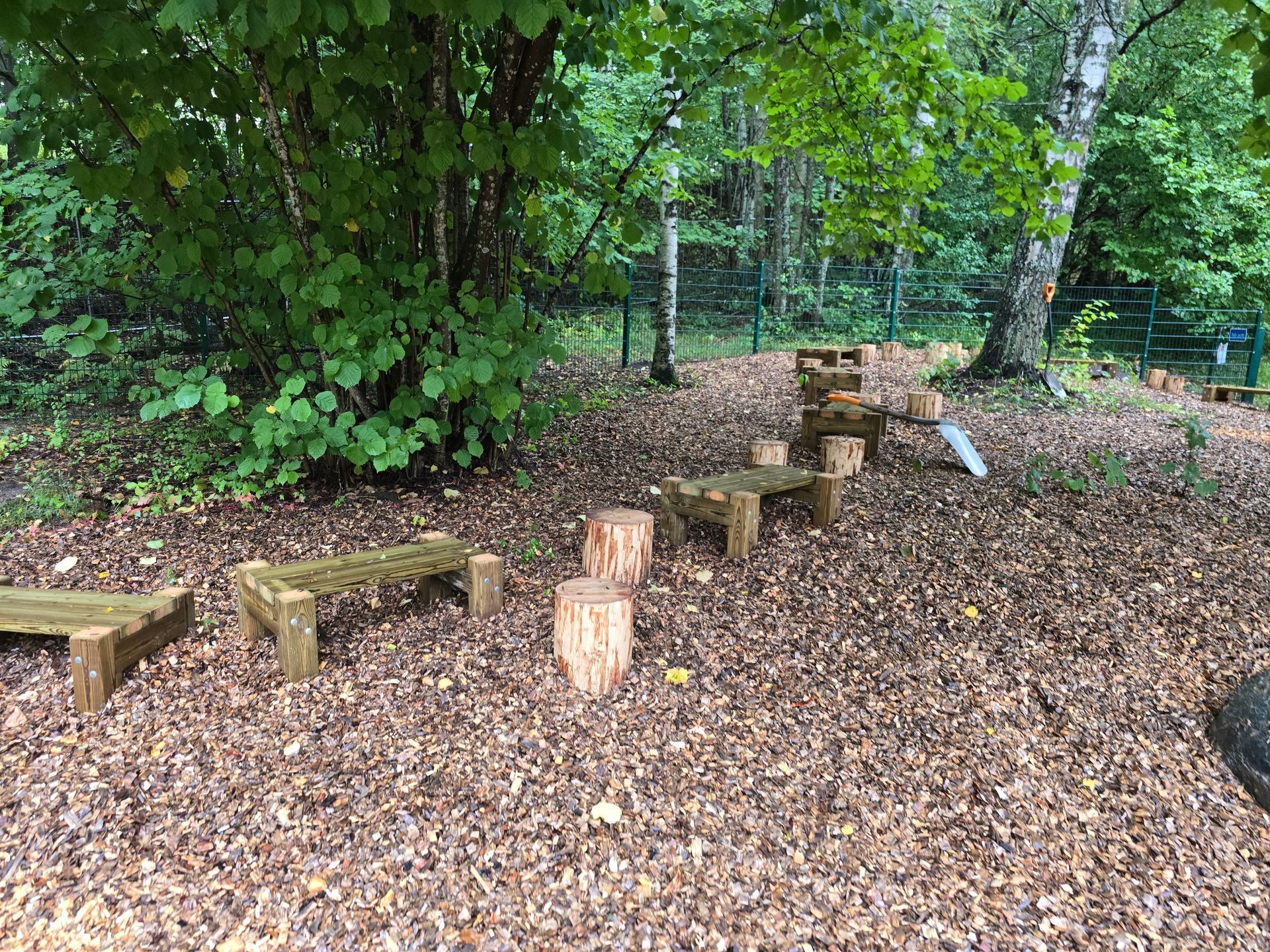 Tasapainorata metsässä