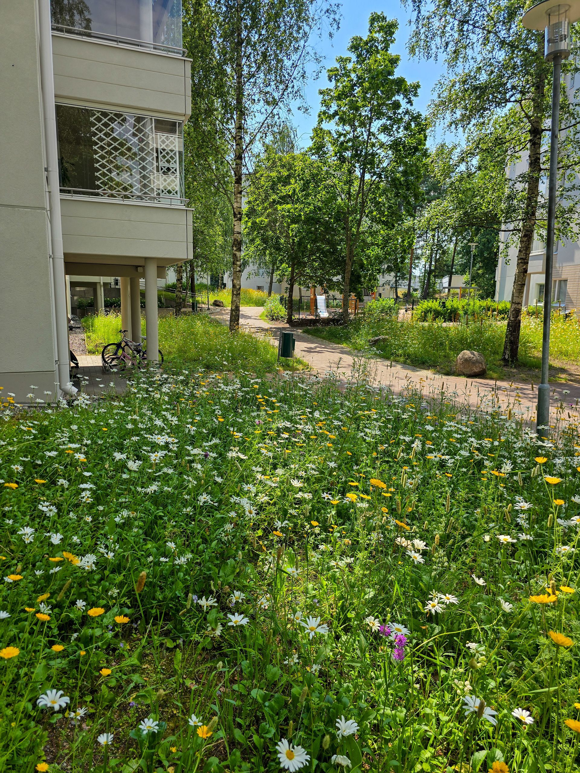 Luo Alt-tekstitunnisteet hakukoneoptimointia ja saavutettavuutta varten. 