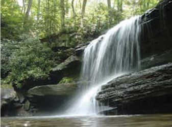 Une cascade se jette en rafale sur des rochers sombres pour se jeter dans un bassin, entouré de feuillage vert, au cœur d'une forêt.