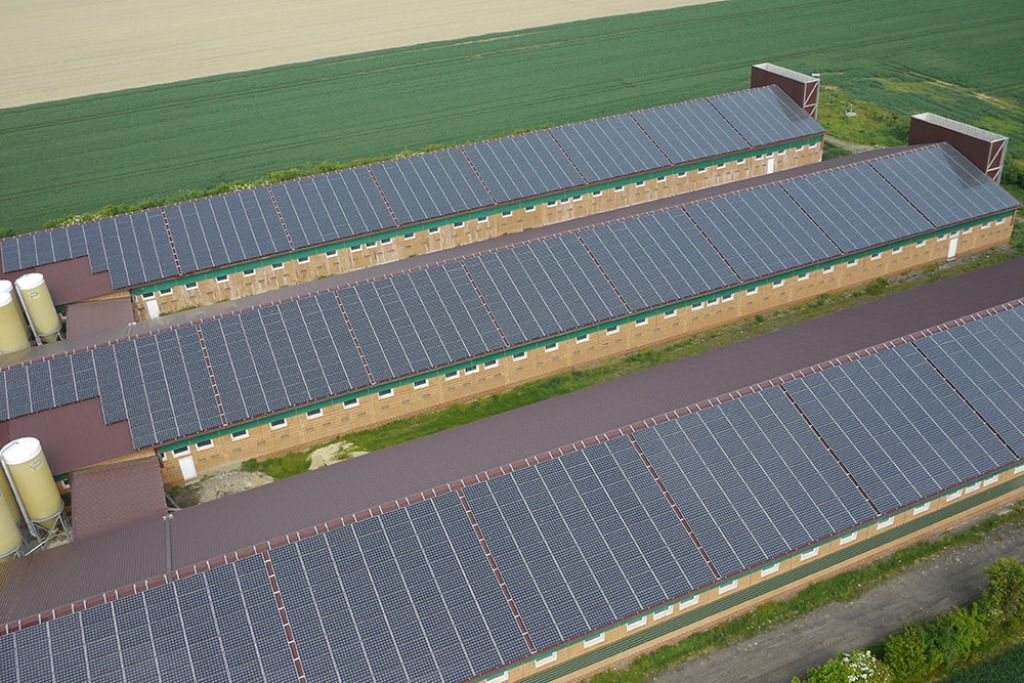 Draufsicht auf mehrere lange Gebäude mit Solarmodulen auf den Dächern in ländlicher Umgebung.