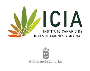 Logotipo de IETE CONECTA en azul marino y gris sobre fondo blanco.