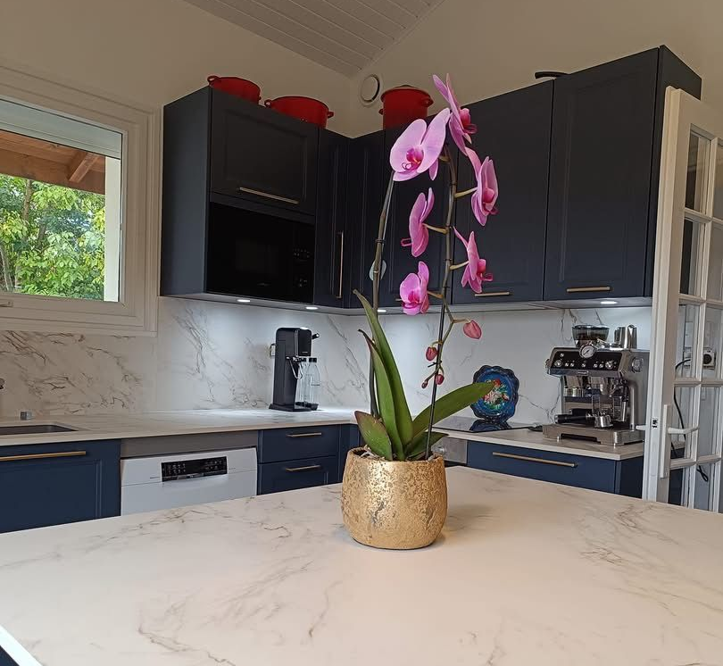 Cuisine avec placards, comptoirs en marbre et un pot d'orchidée.