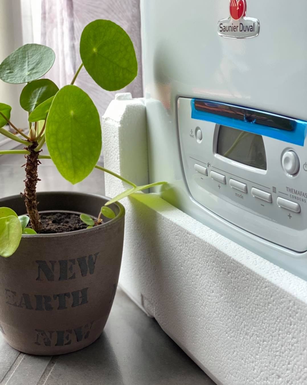 Une plante pilea dans un pot est placée à côté d'une chaudière Saunier Duval dans son emballage en polystyrène blanc.