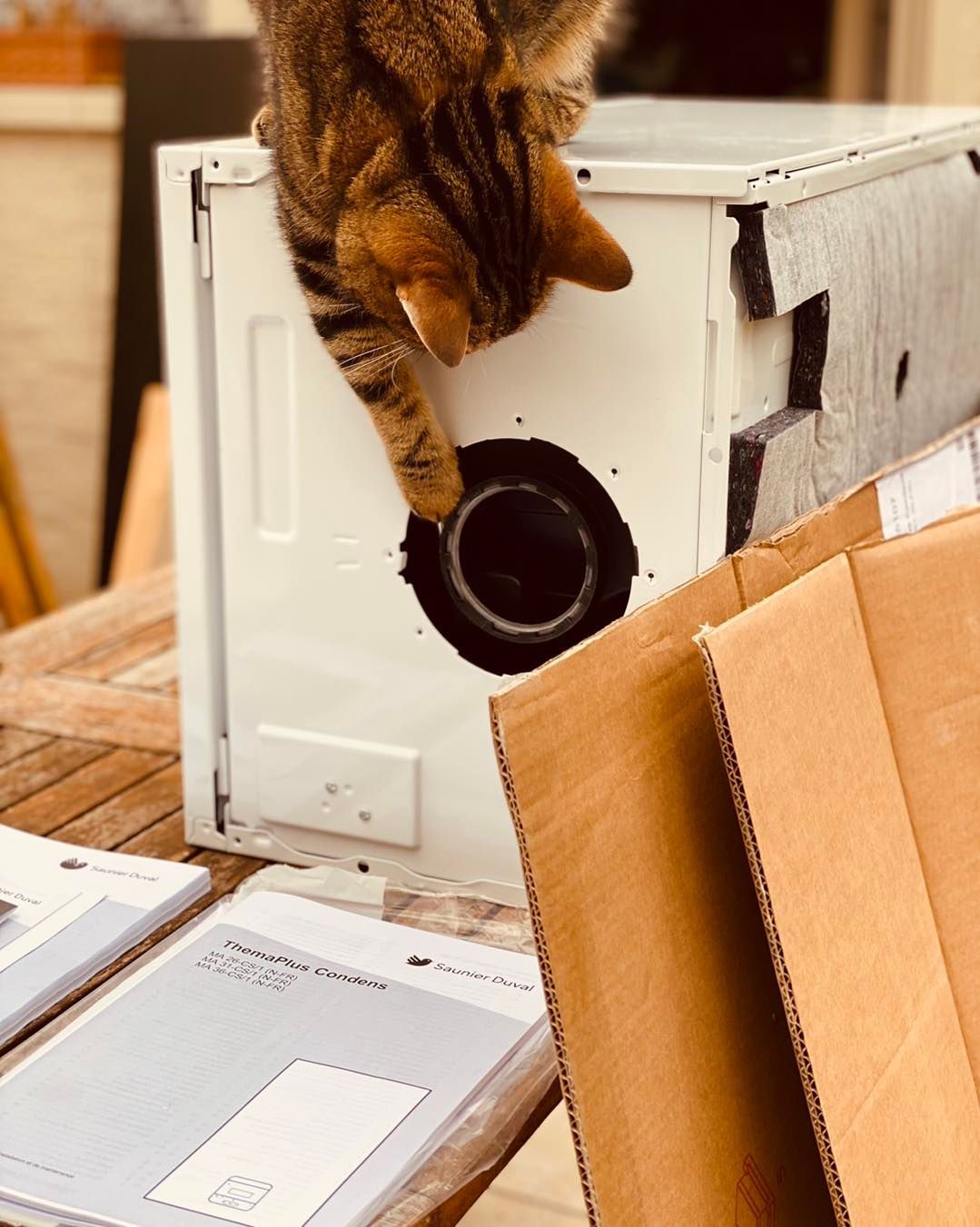 Un chat tigré glisse une patte dans un trou noir sur le côté d'un objet blanc en forme de boîte, près de feuilles de carton.
