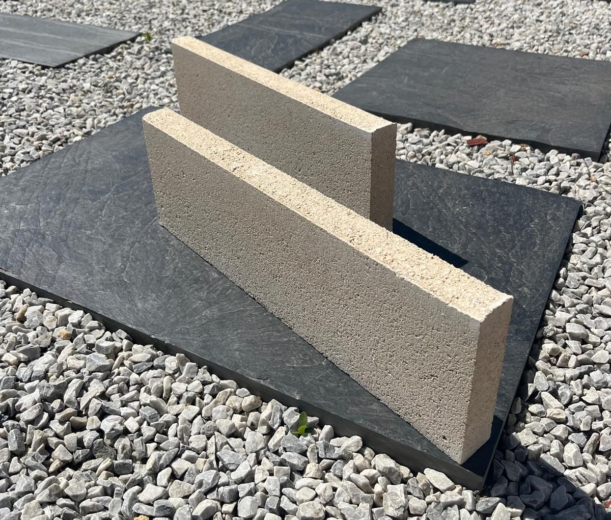 Paillis rouge dans une jardinière en béton, à côté d’une allée pavée, en plein soleil.