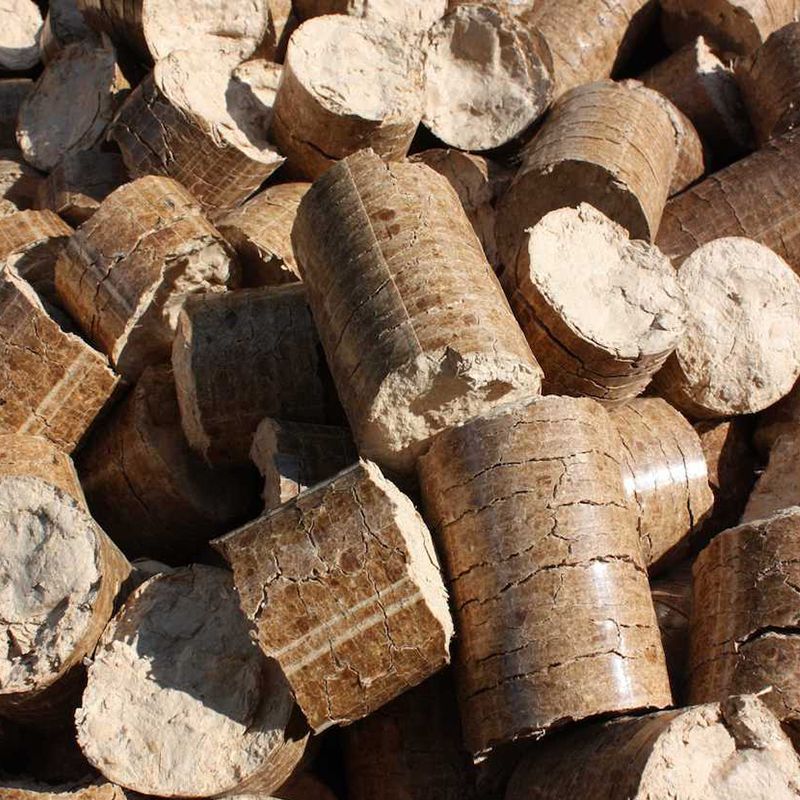Bûches coupées empilées, à l'écorce rugueuse et aux extrémités en bois clair