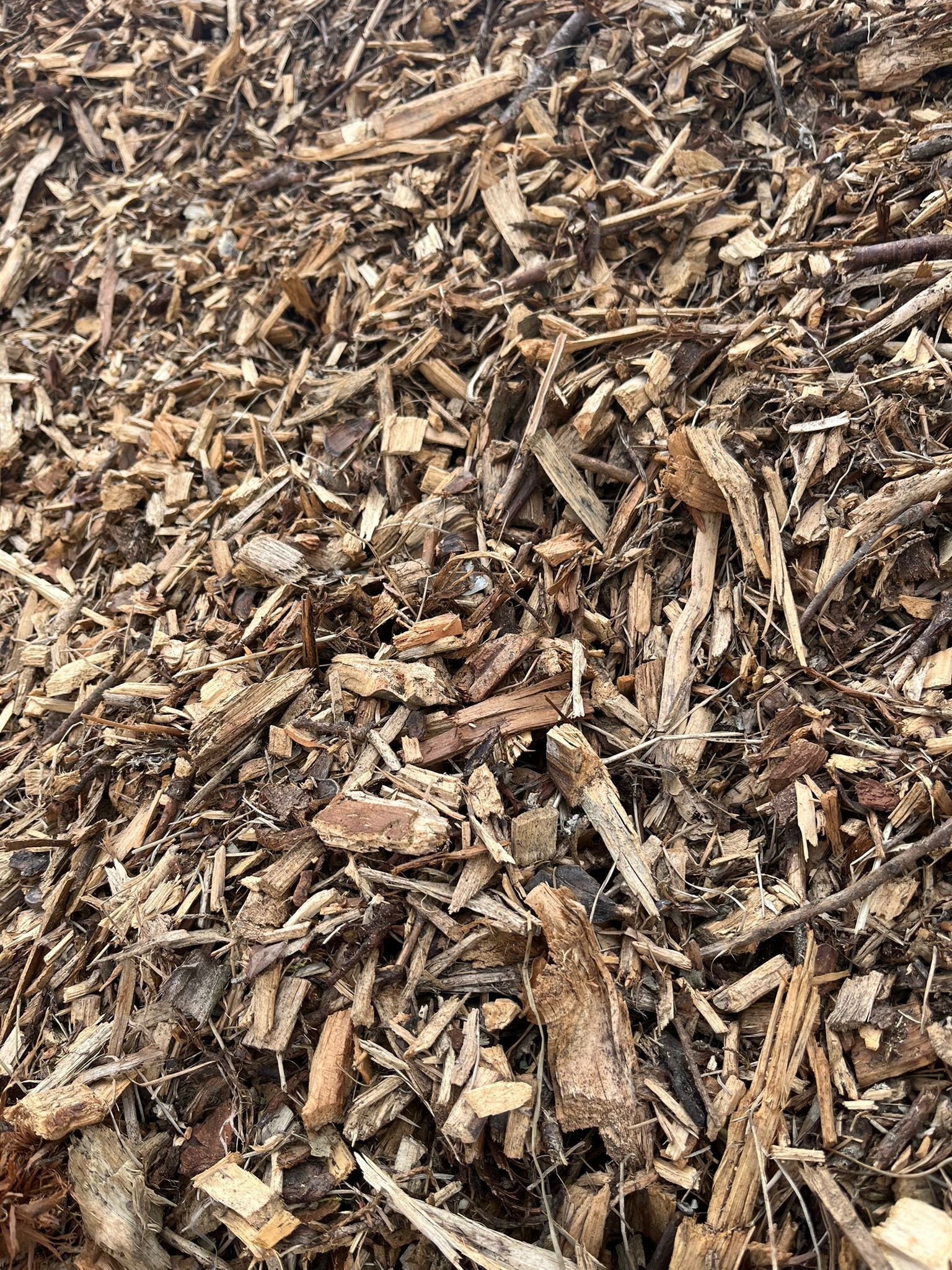 Gros plan sur des copeaux de bois bruns et du paillis recouvrant le sol.