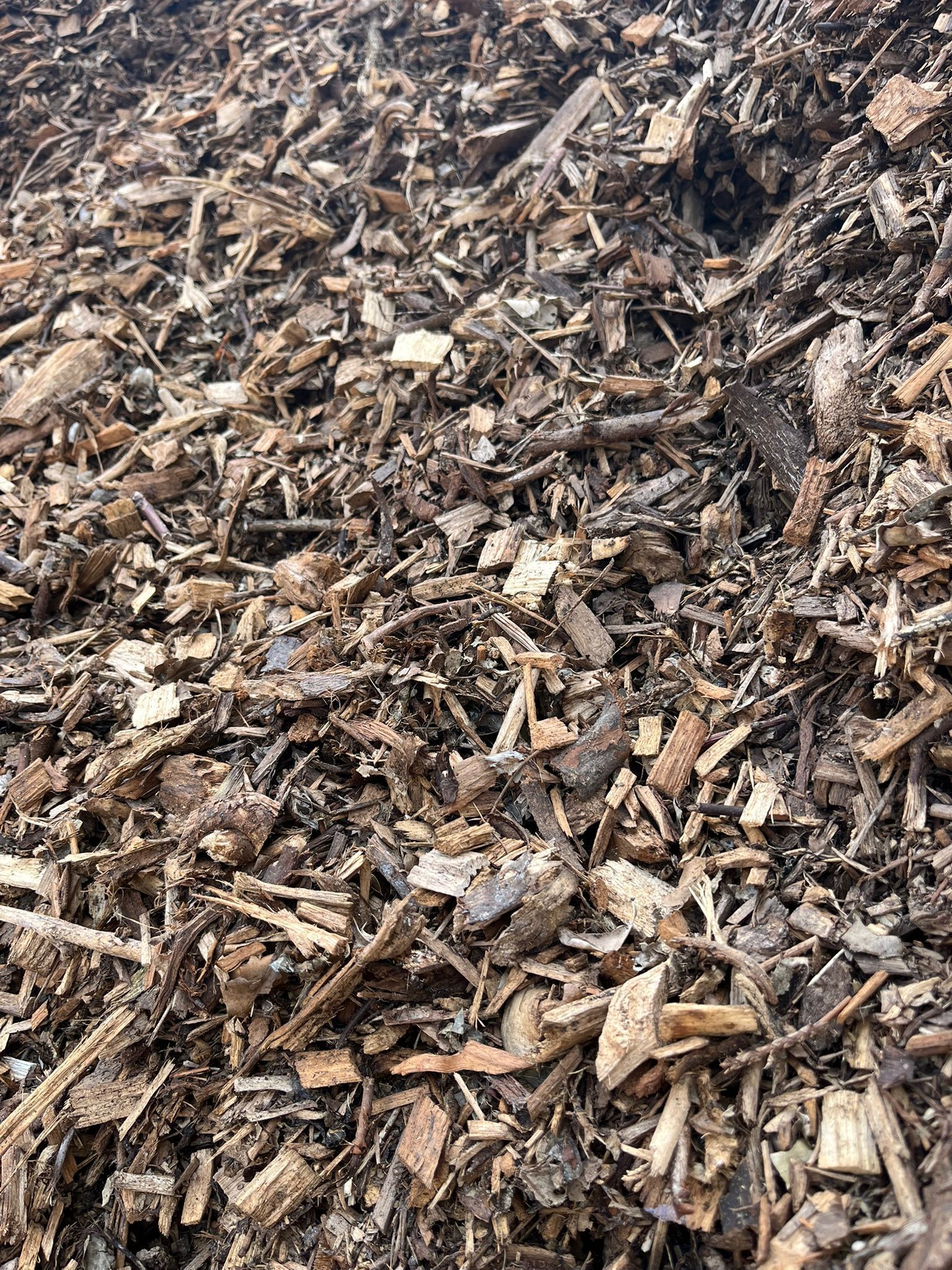 Un tas de copeaux de bois bruns et de paillis remplit le cadre