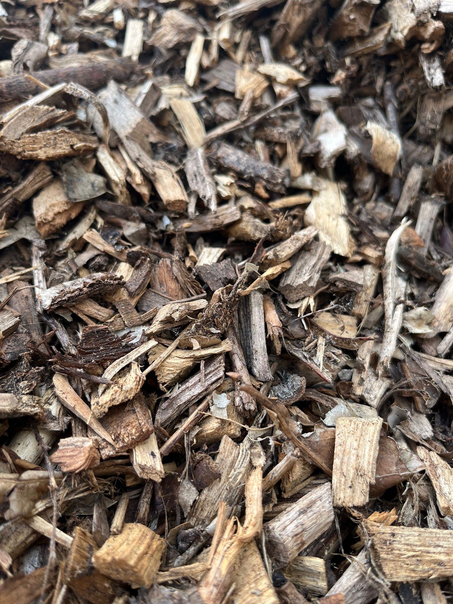 Un tas de copeaux de bois bruns et de paillis remplit le cadre