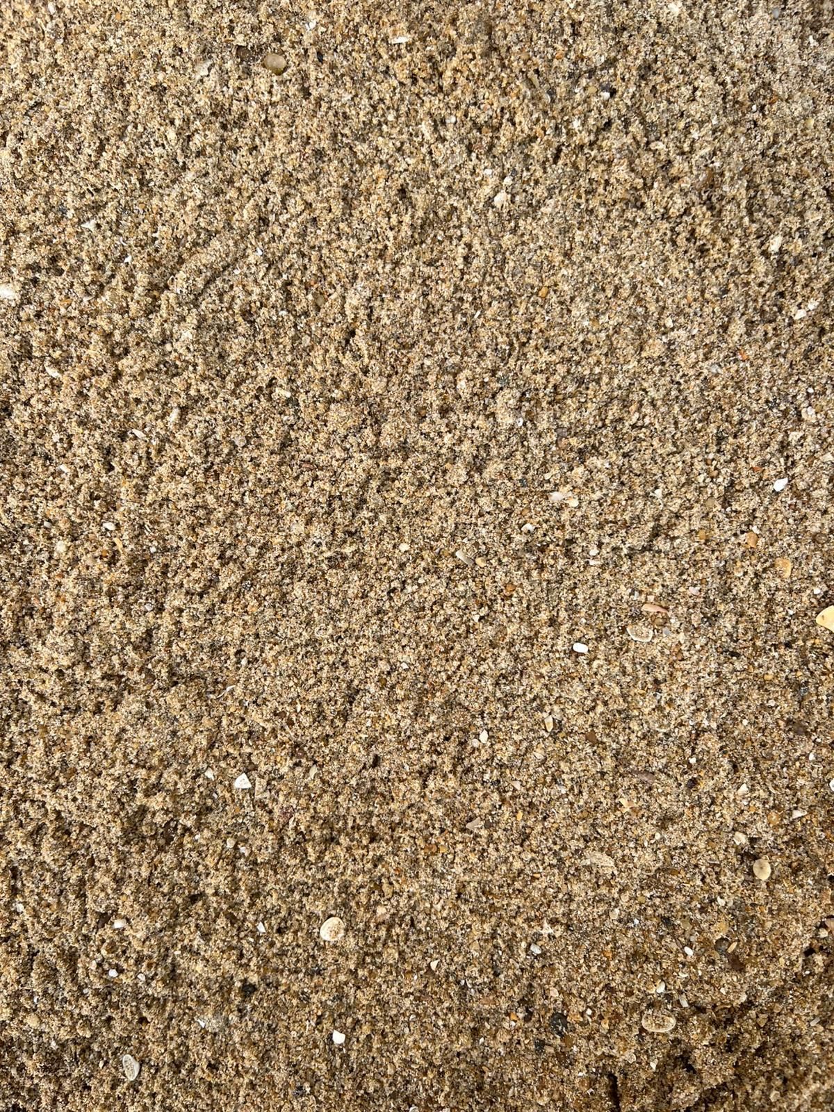 Gros plan sur la texture du gravier sableux beige et brun avec de petits cailloux épars.