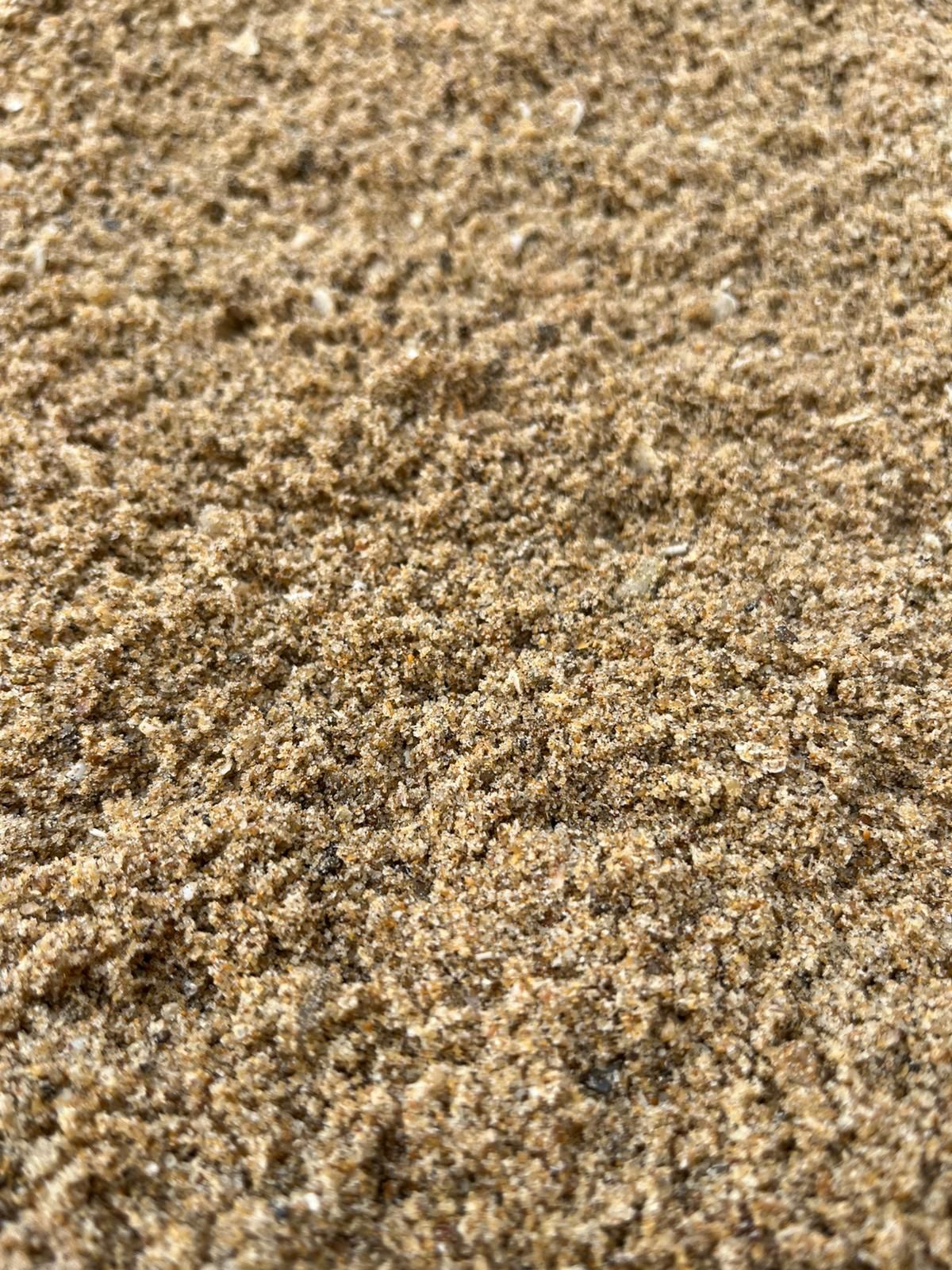 Gros plan sur la texture du gravier sableux beige et brun avec de petits cailloux épars.