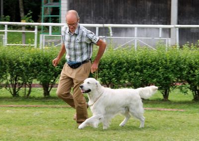 Ein Mann geht mit einem Golden Retriever an der Leine über ein Feld laufen. Foto von Zellweger Heini