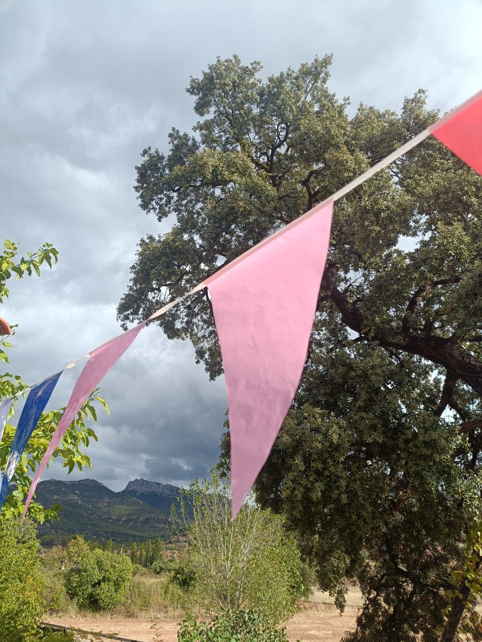 Dos personas de pie junto a una mesa de picnic con bebidas y comida bajo un pabellón en un entorno frondoso al aire libre.