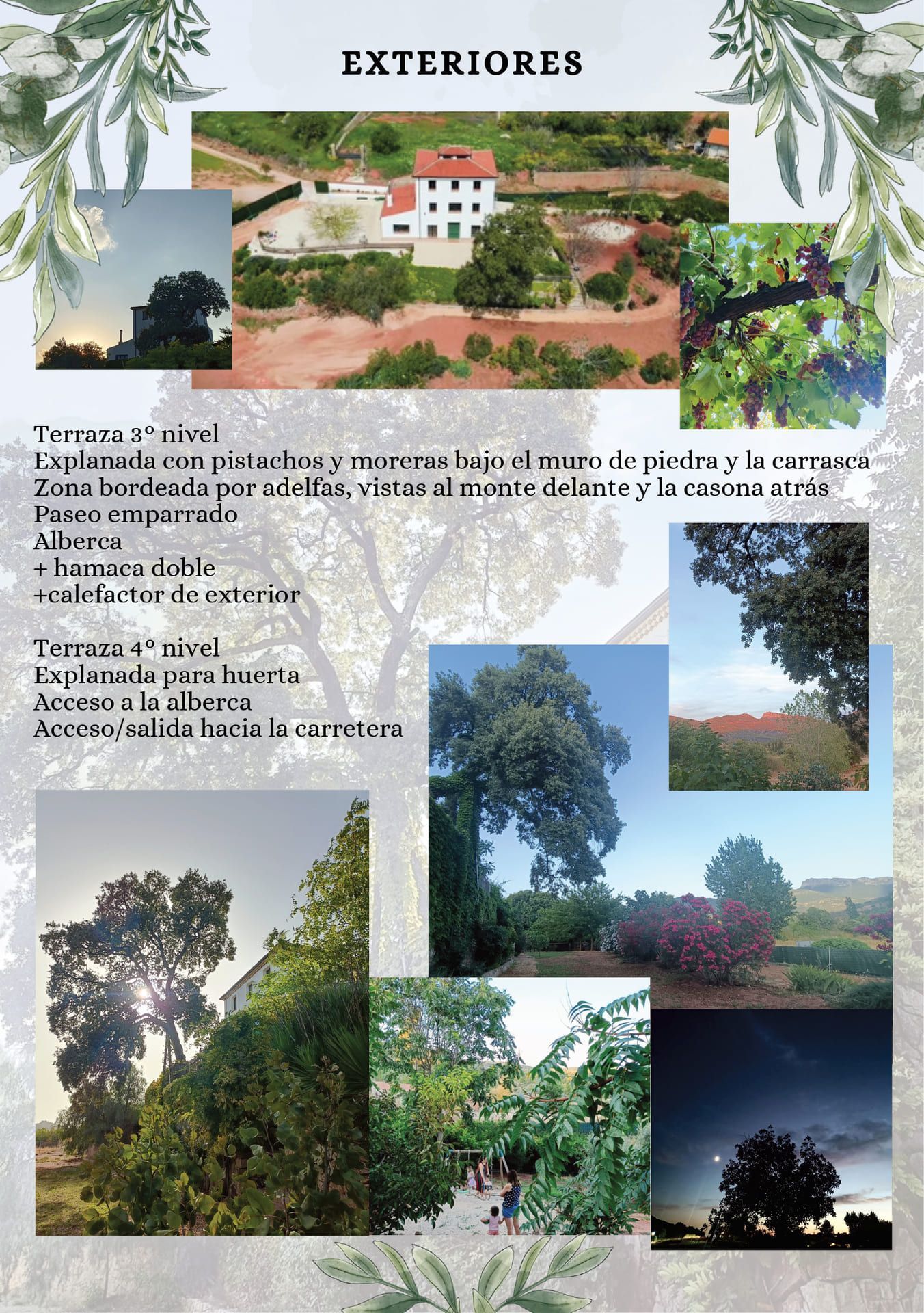 Collage paisajístico titulado “Exteriores” que muestra fotos de vegetación, árboles y atardeceres.