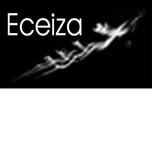 logotipo cabecera