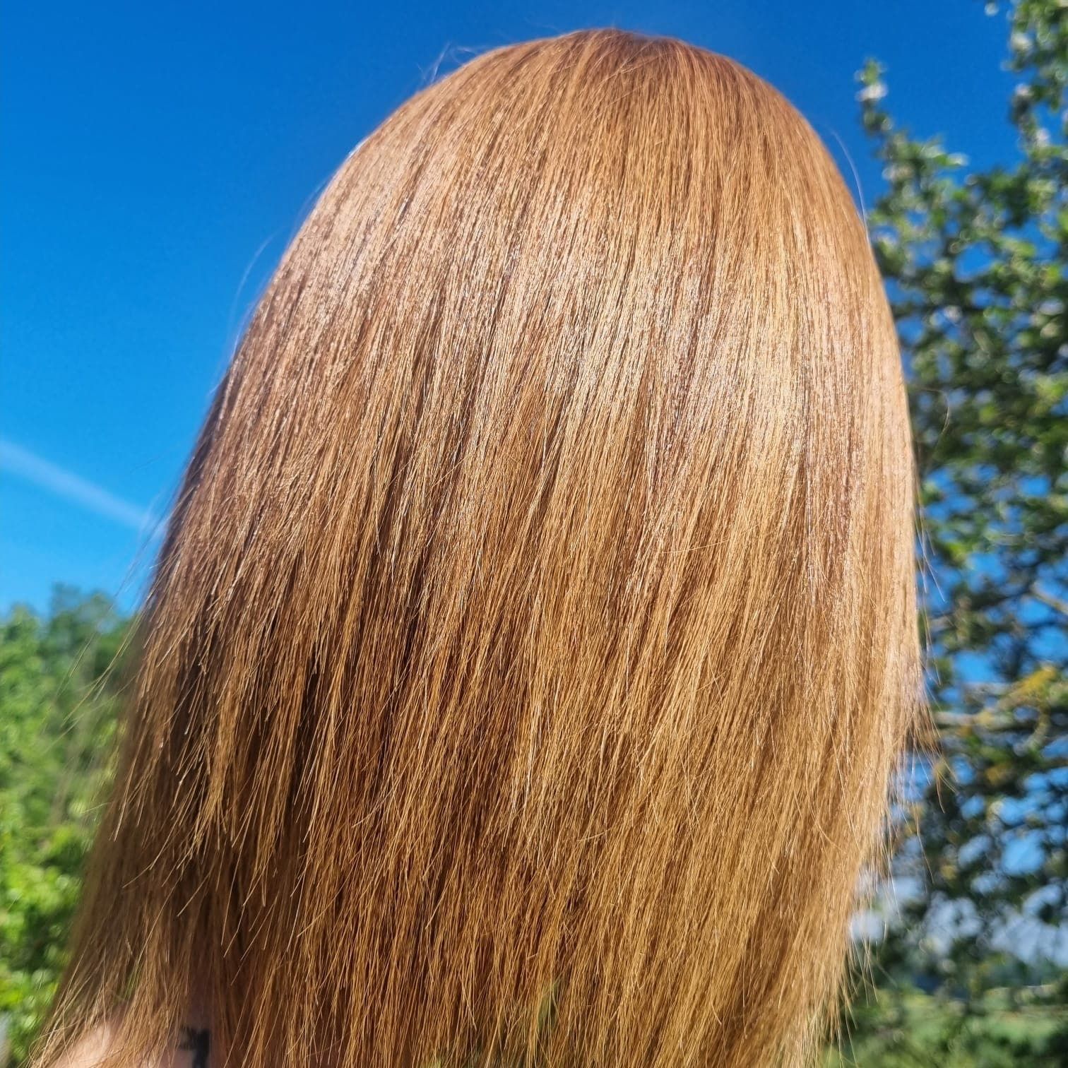 Cabello castaño claro, brillante y liso contra un cielo azul y árboles verdes.