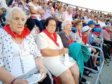 Un grupo de personas está sentada en un estadio viendo un concierto.