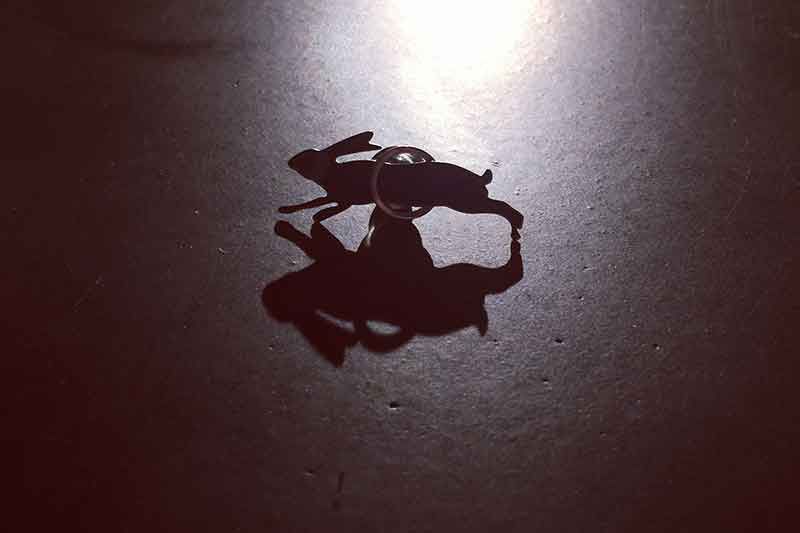 Schlüsselanhänger mit einem Hasenanhänger, der einen dunklen Schatten auf eine reflektierende Oberfläche wirft.